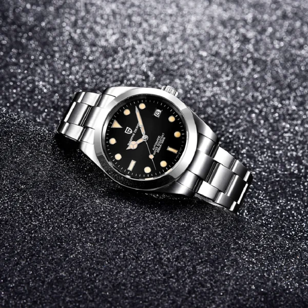 PAGANI DESIGN New Men Mechanical Wristwatches Top Brand Sapphire Glass 200M Waterproof Automatic Watch for Men 3
